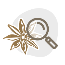 iridologo-madrid-ico-iridologia Coaching Sanitario Integral